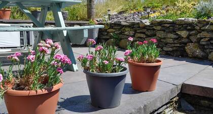 2 bedroom accommodation in Dolwyddelan, near Betws-y-Coed