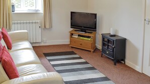 A living room with a white sofa, a television on a wooden stand, a radiator, a striped rug, and a painting on the wall. - 2 bedroom accommodation in Wootton Fitzpaine, near Charmouth (Wootton Fitzpaine, near Charmouth)