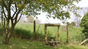Un banco de madera rústico bajo un árbol, rodeado por un campo cubierto de hierba y una cerca.