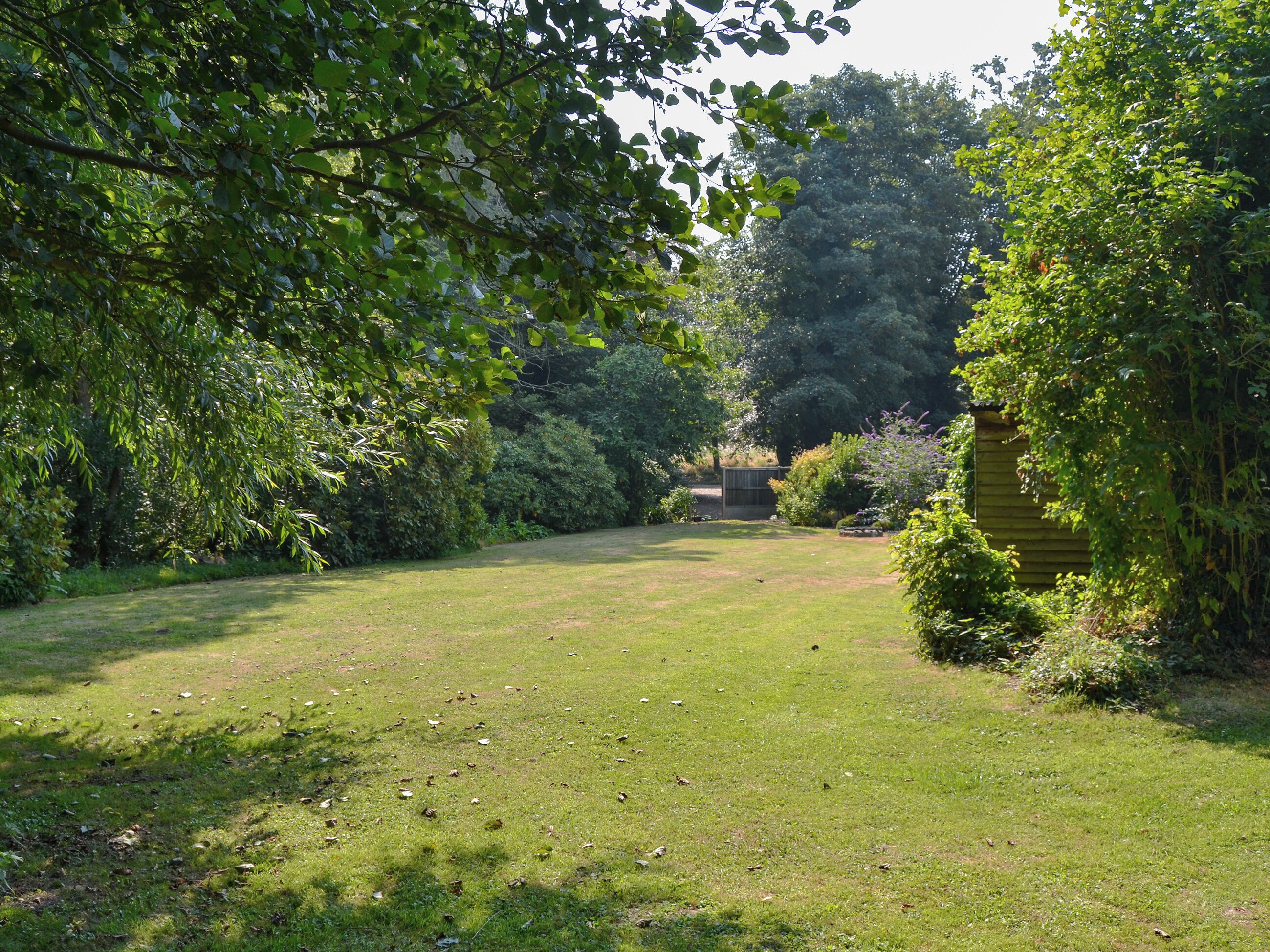 Un jardin avec une pelouse, des arbres et une structure en bois.
