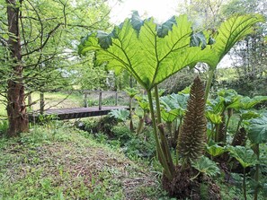 Overnatningsstedets område