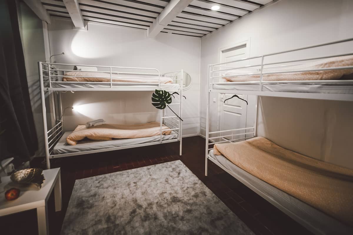 A bunk bed room with a small table and a plant.