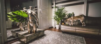 Wherever Boutique Hostel