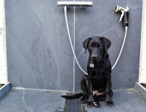 A black dog sitting in a corner with a hose and a shower head.