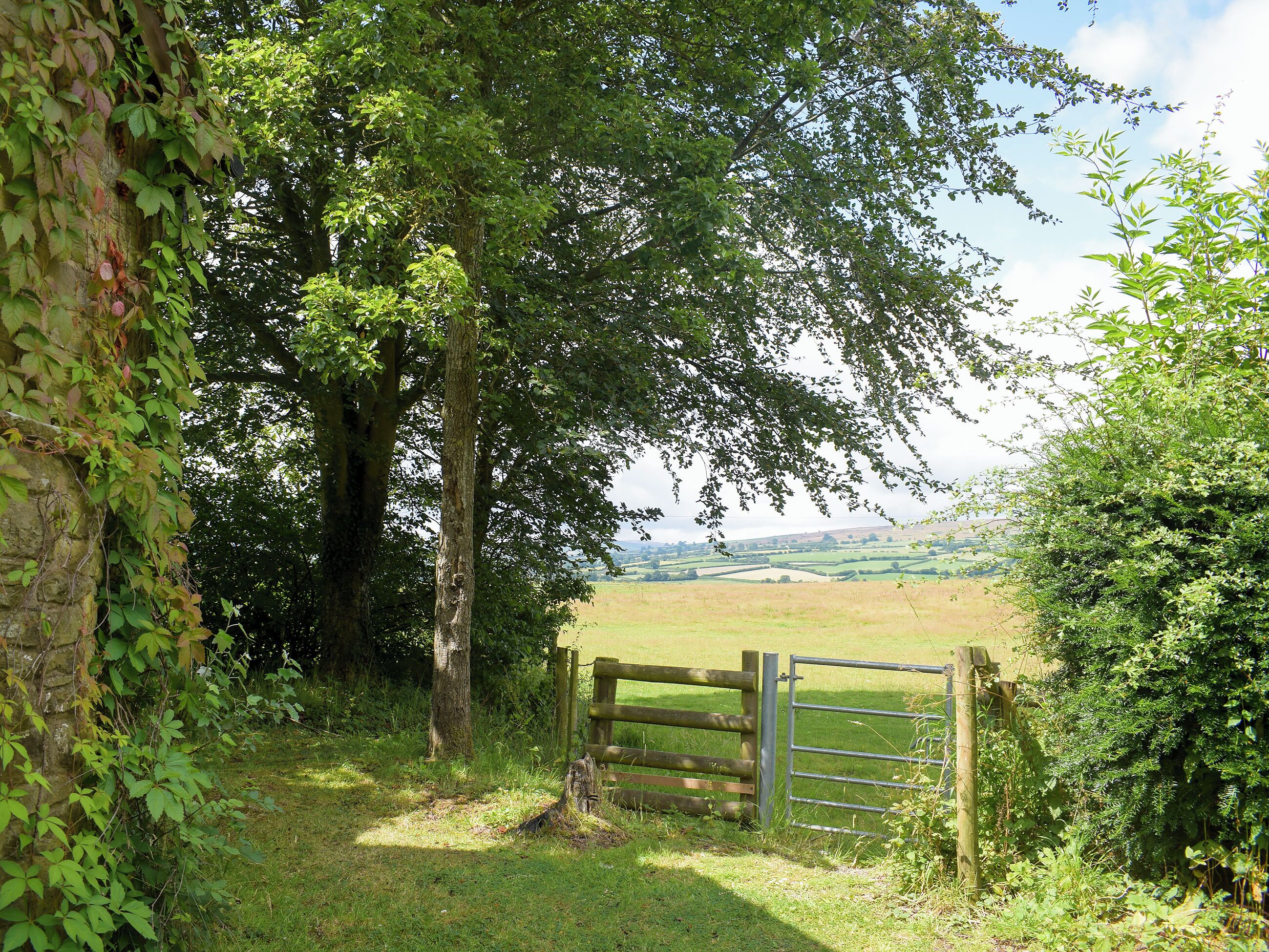 Property grounds
