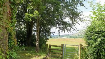A rural landscape with a wooden gate, trees, and a grassy field.