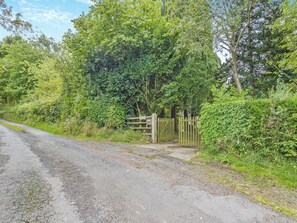 Unclassified image, 4 of 12, button