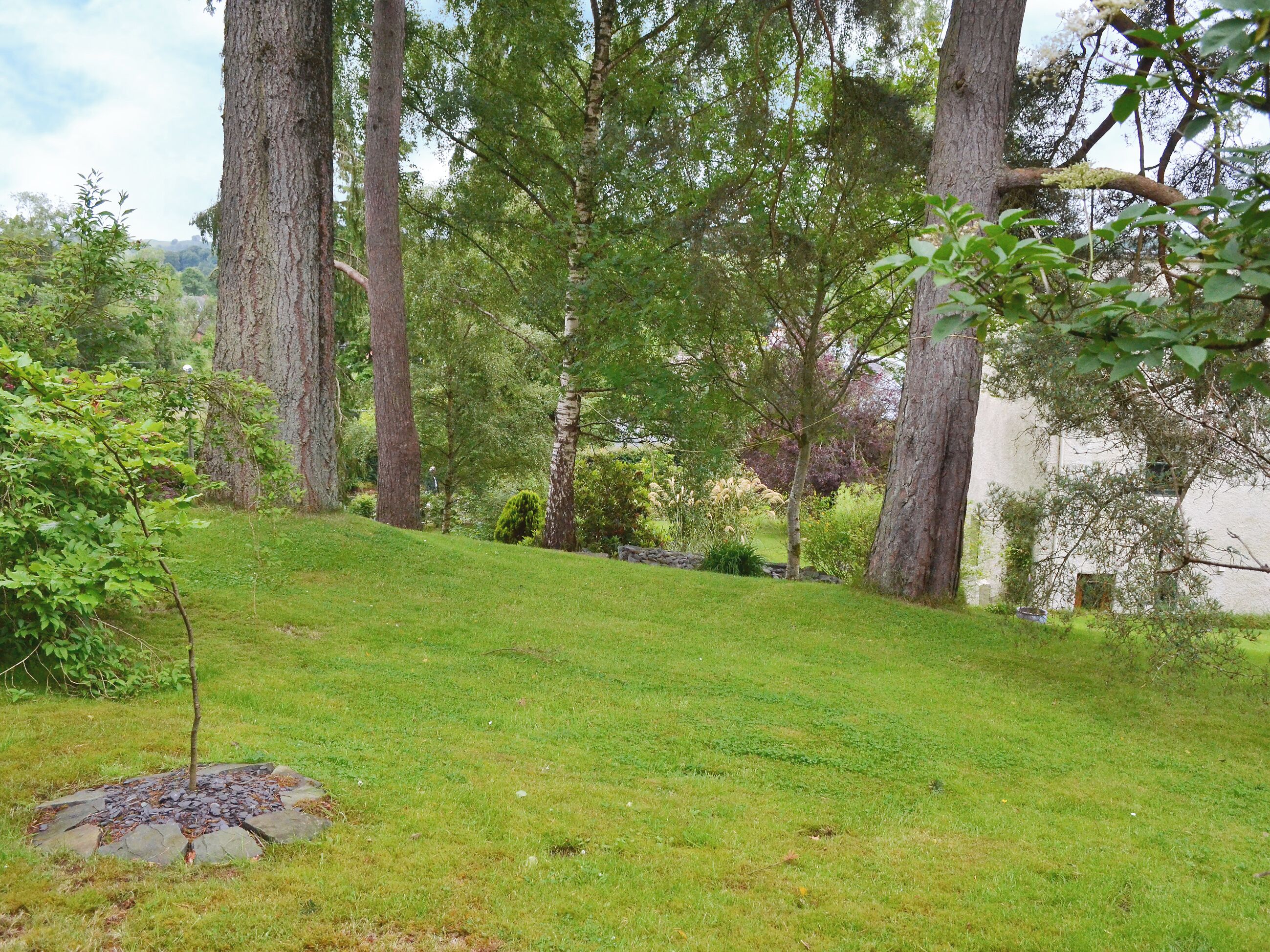 Un espace extérieur verdoyant, avec des arbres et une structure en pierre.