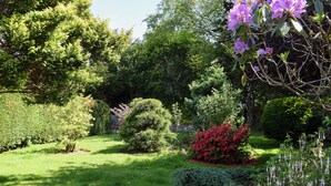 Un jardin bien entretenu, agrémenté de divers arbustes et de plantes à fleurs.