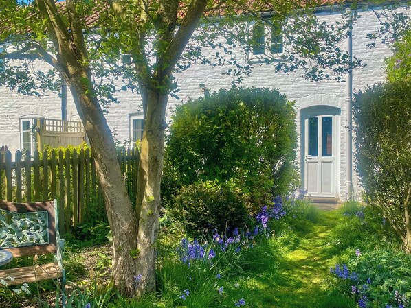 Property grounds - Jenny's Cottage 27553 (Mundesley)