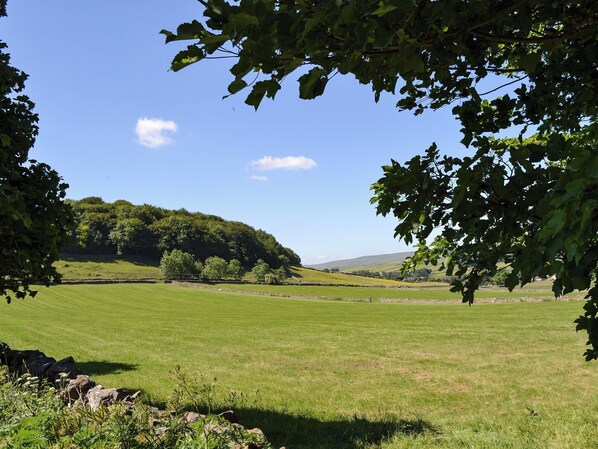 A grassy field with trees and a hill in the background.
