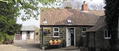 Eksteriør