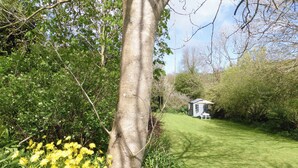 Un jardín con un cobertizo pequeño, césped y un árbol con flores amarillas.