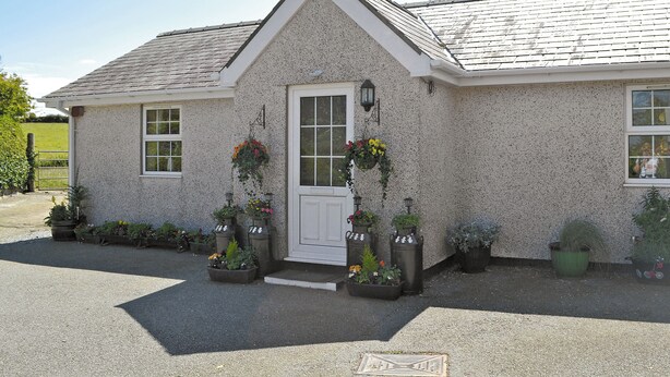 A house with a white exterior, a white door, and a small porch area. There are flower pots with plants and flowers on the porch. - Cefn Helyg Bach - 28453 (Cemaes Bay)