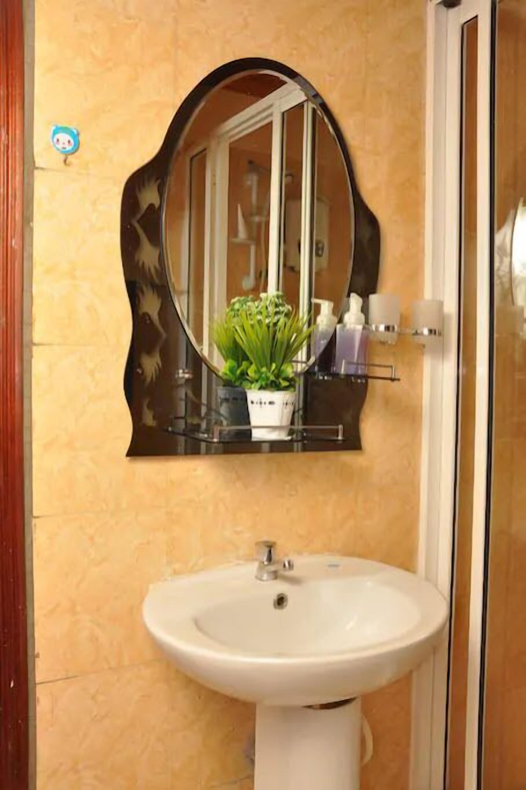 Une salle de bain avec un lavabo blanc, un miroir doté d’un cadre décoratif et une plante en pot accrochée au mur.