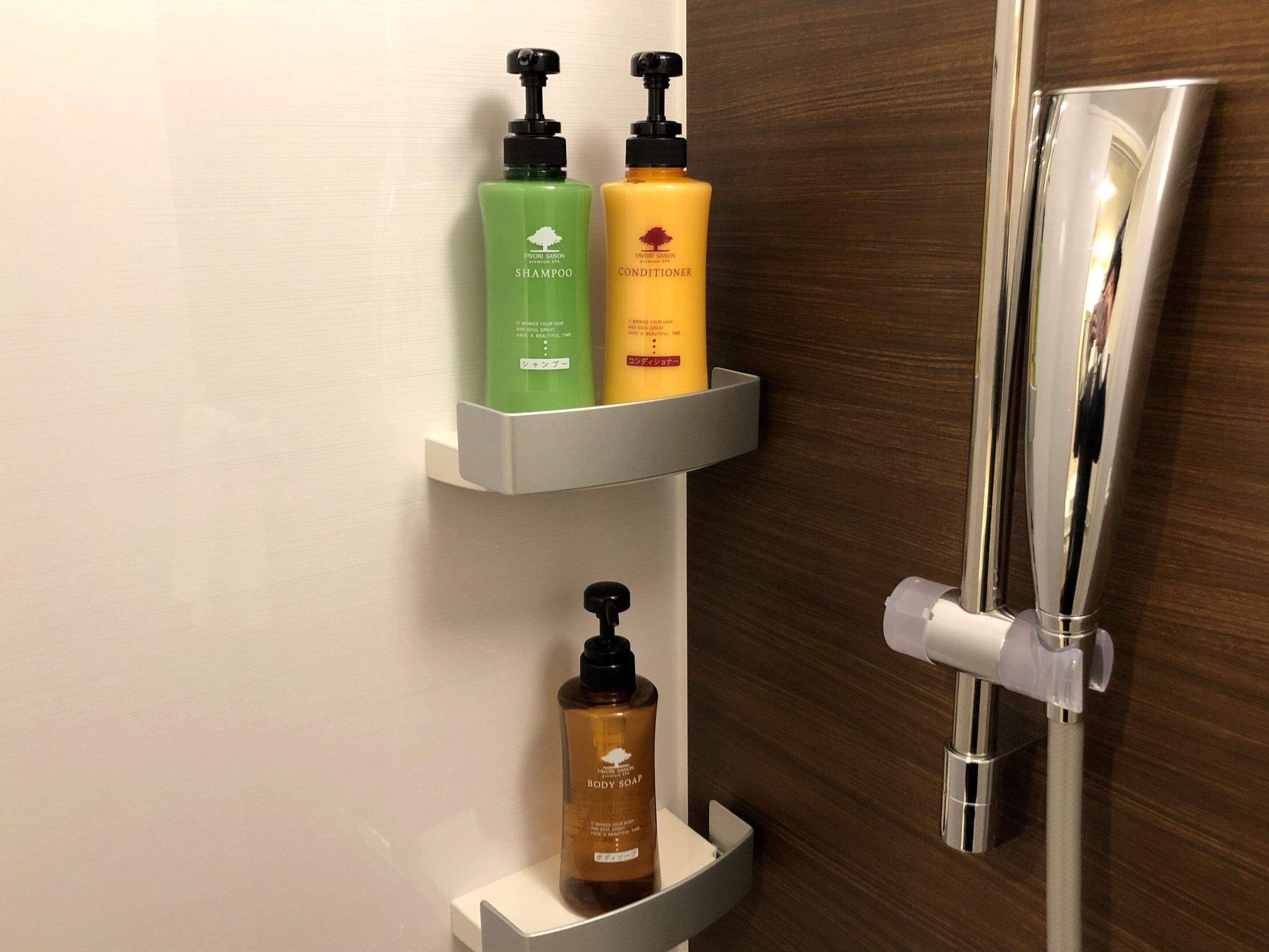 shower, free toiletries, hair dryer, slippers