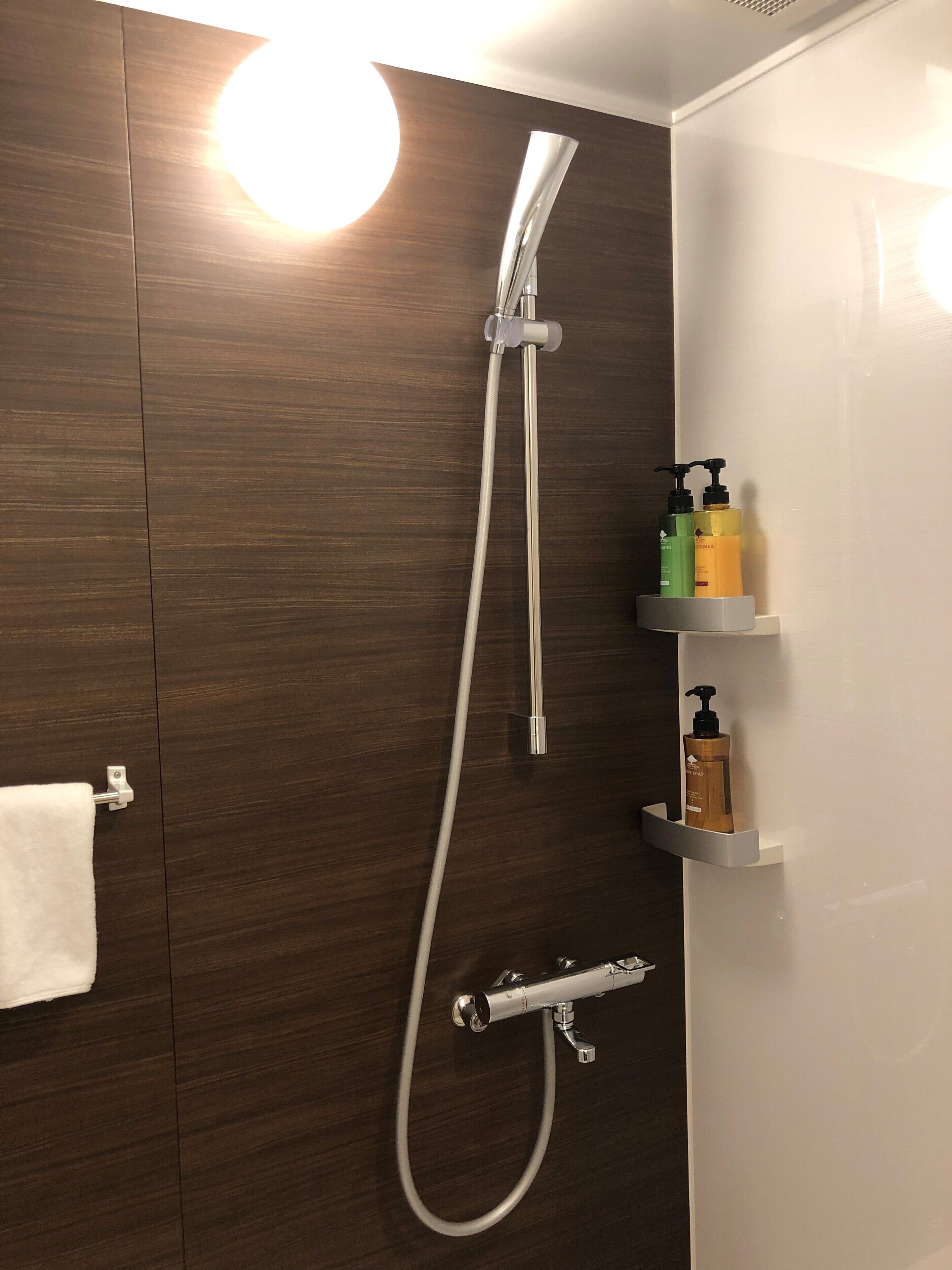 shower, free toiletries, hair dryer, slippers