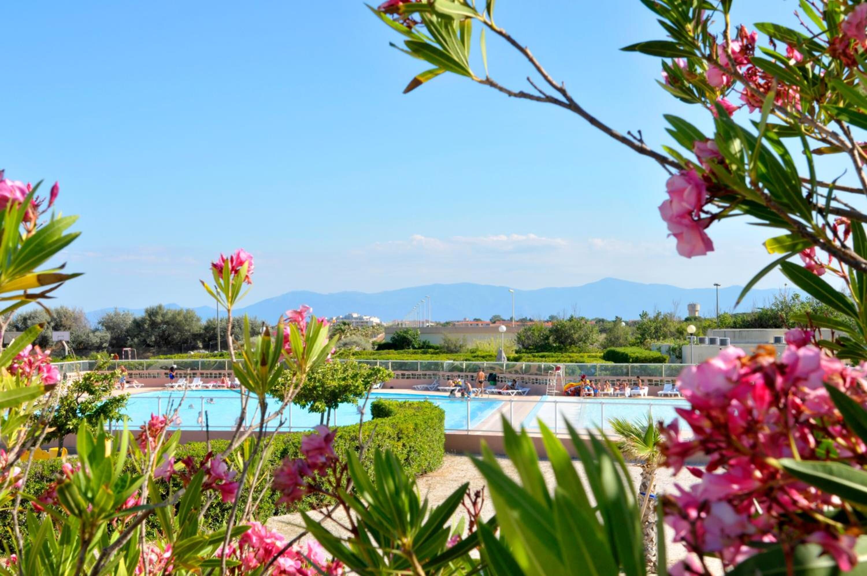 A pool area with clear blue water, surrounded by greenery and pink flowers.