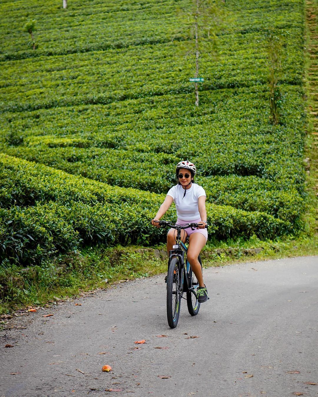A person riding a bicycle on a road with a green, terraced landscape in the background.