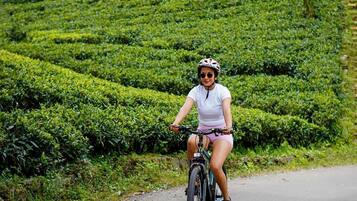 Una persona montando en bicicleta por una carretera con un paisaje verde escalonado al fondo.