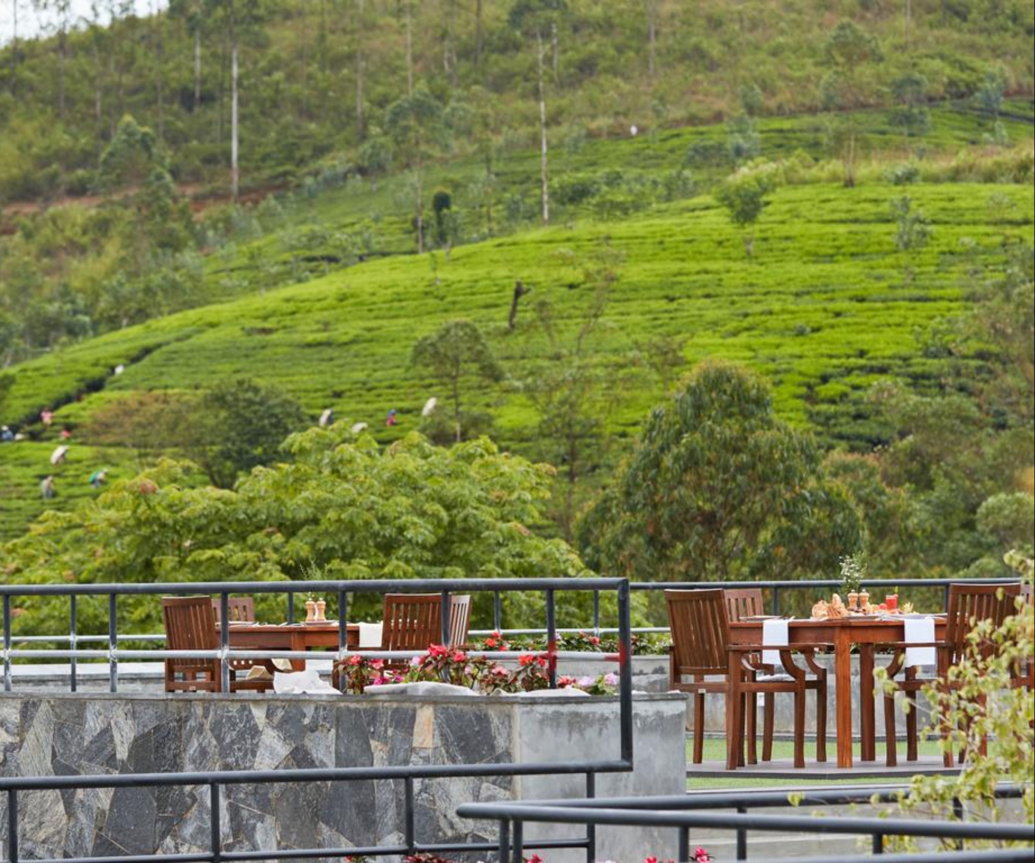 A terrace with a table and chairs overlooking a lush green tea plantation.