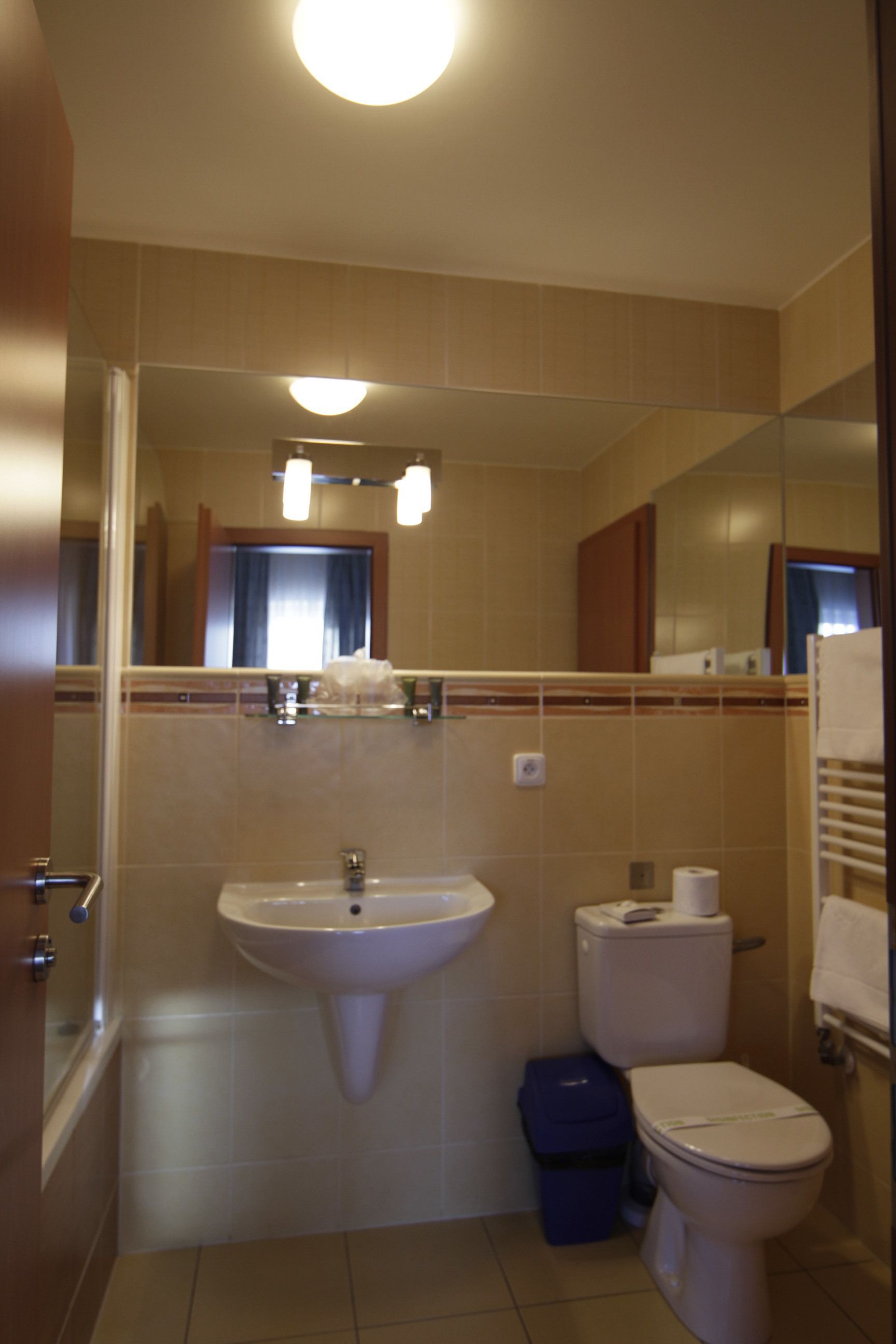 A small bathroom with a sink, toilet, and trash bin.