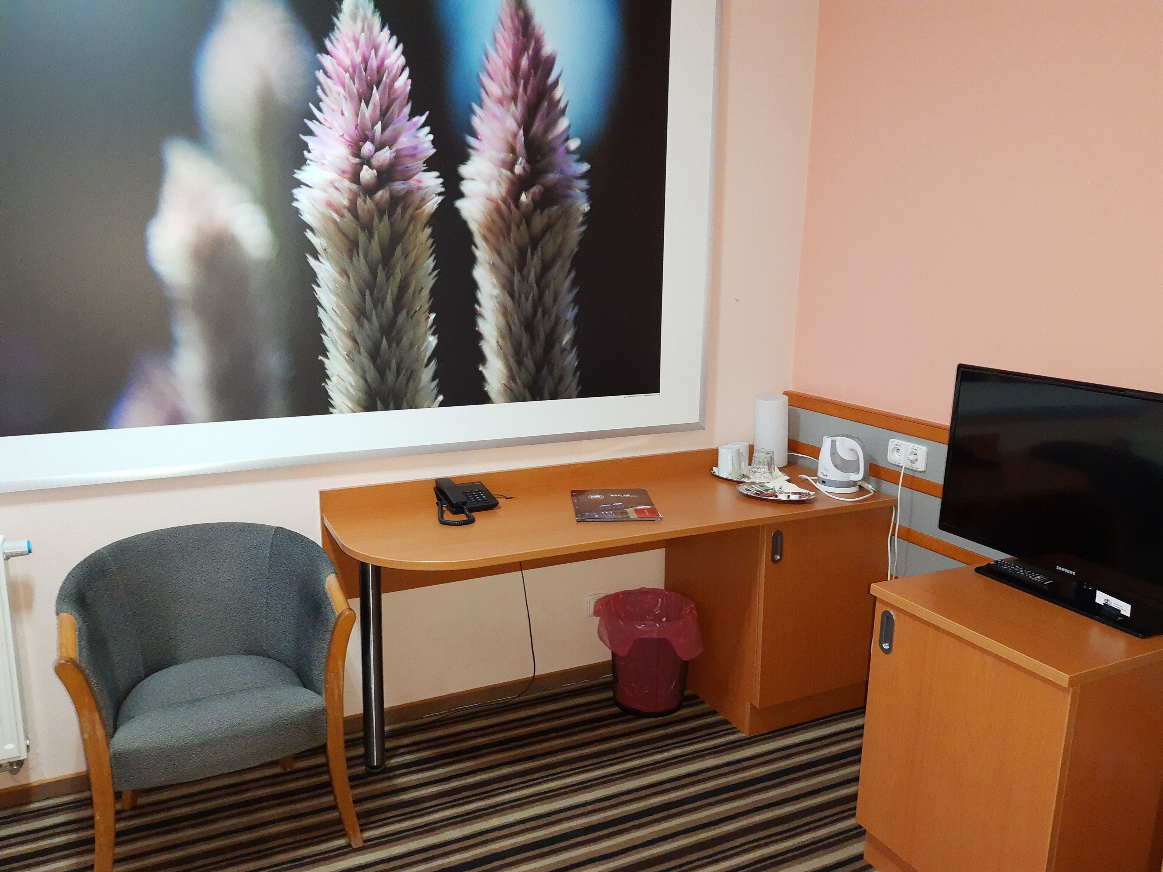 A hotel room with a desk, chair, television, and a large window with a floral view.