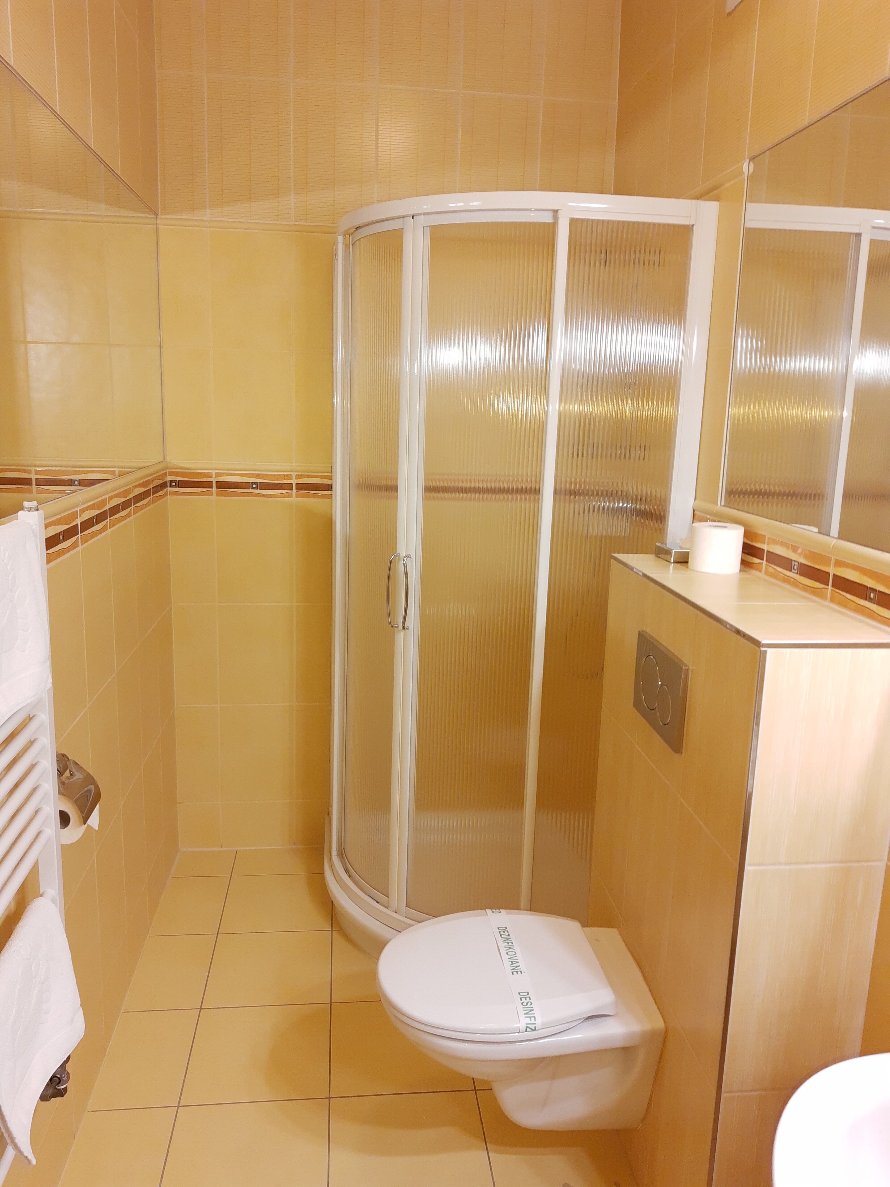 A bathroom with a shower enclosure, a toilet, and a sink.