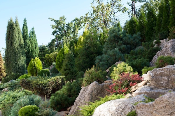 Àrea exterior de l'allotjament