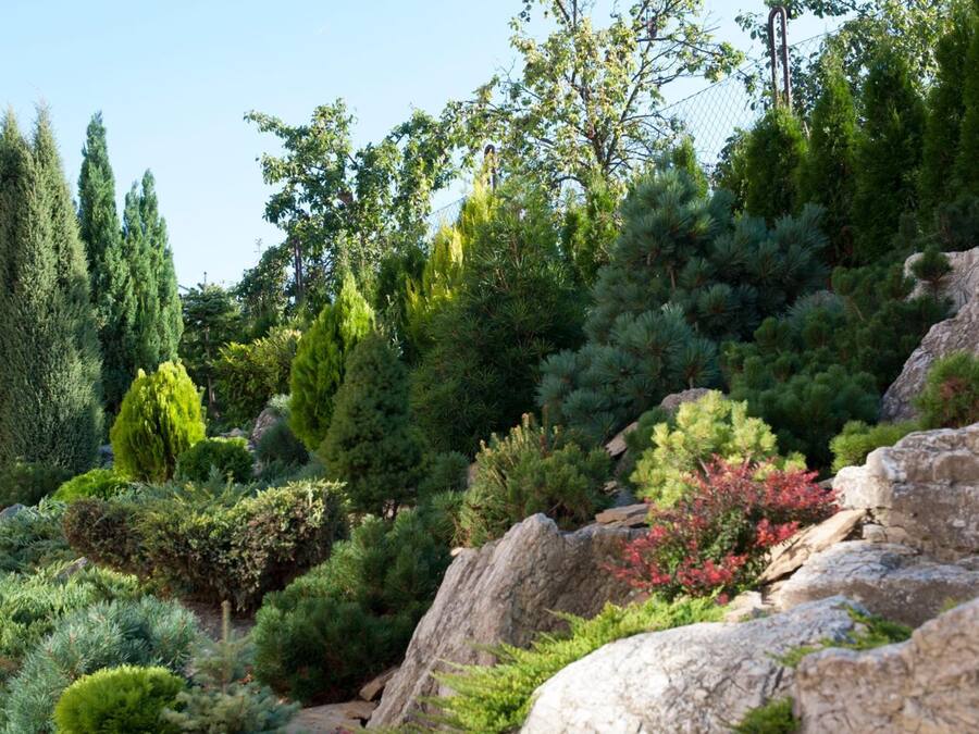 Terrein van de accommodatie