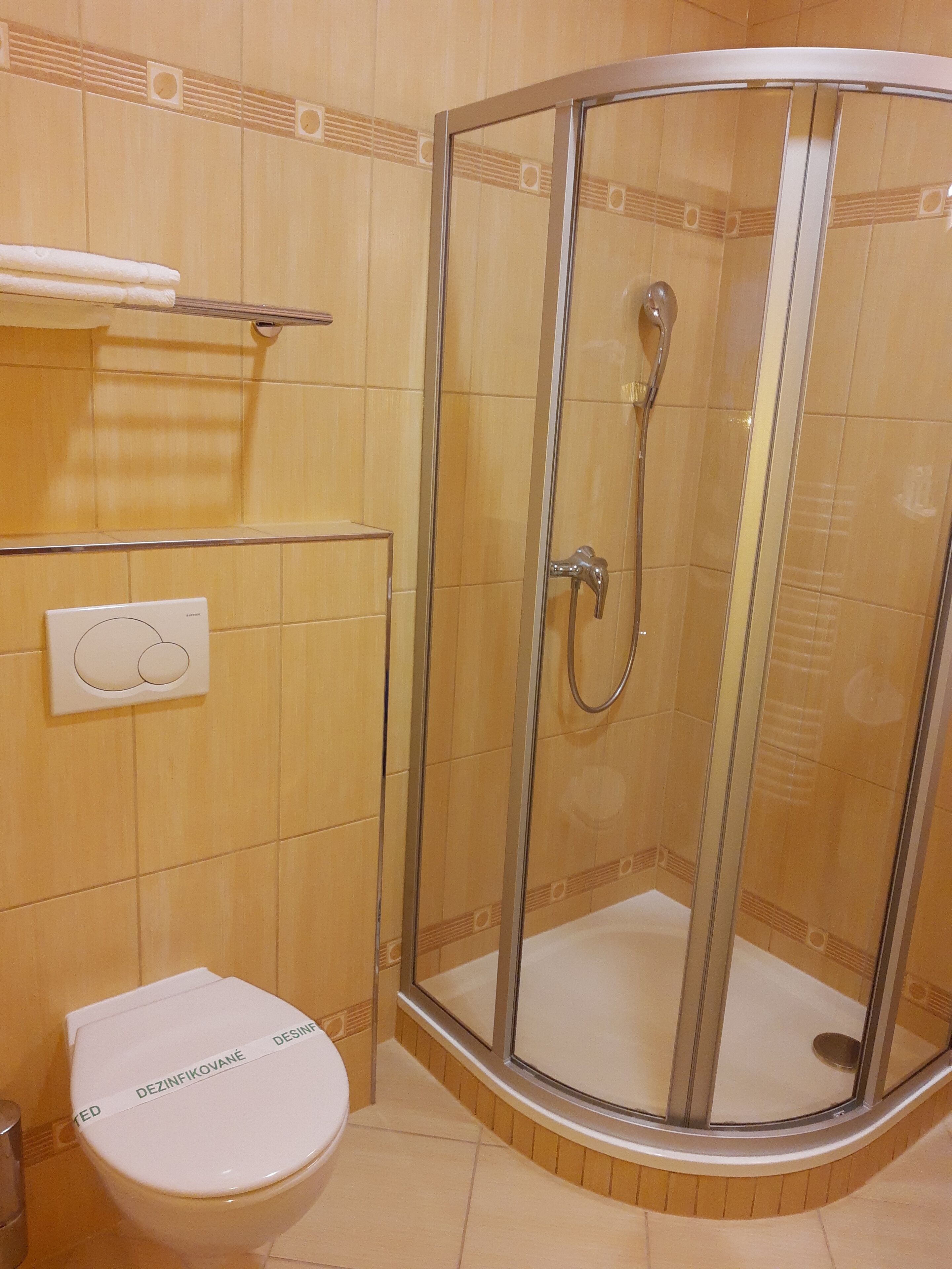 Kylpyhuoneessa on lasiseinällä varustettu suihku, wc ja pyyhekoukku.