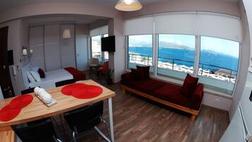 1 bedroom, desk, soundproofing, iron/ironing board
