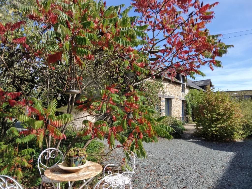 Un bâtiment rustique en pierre, doté d’une allée en gravier et entouré d’arbres aux feuilles rouges.