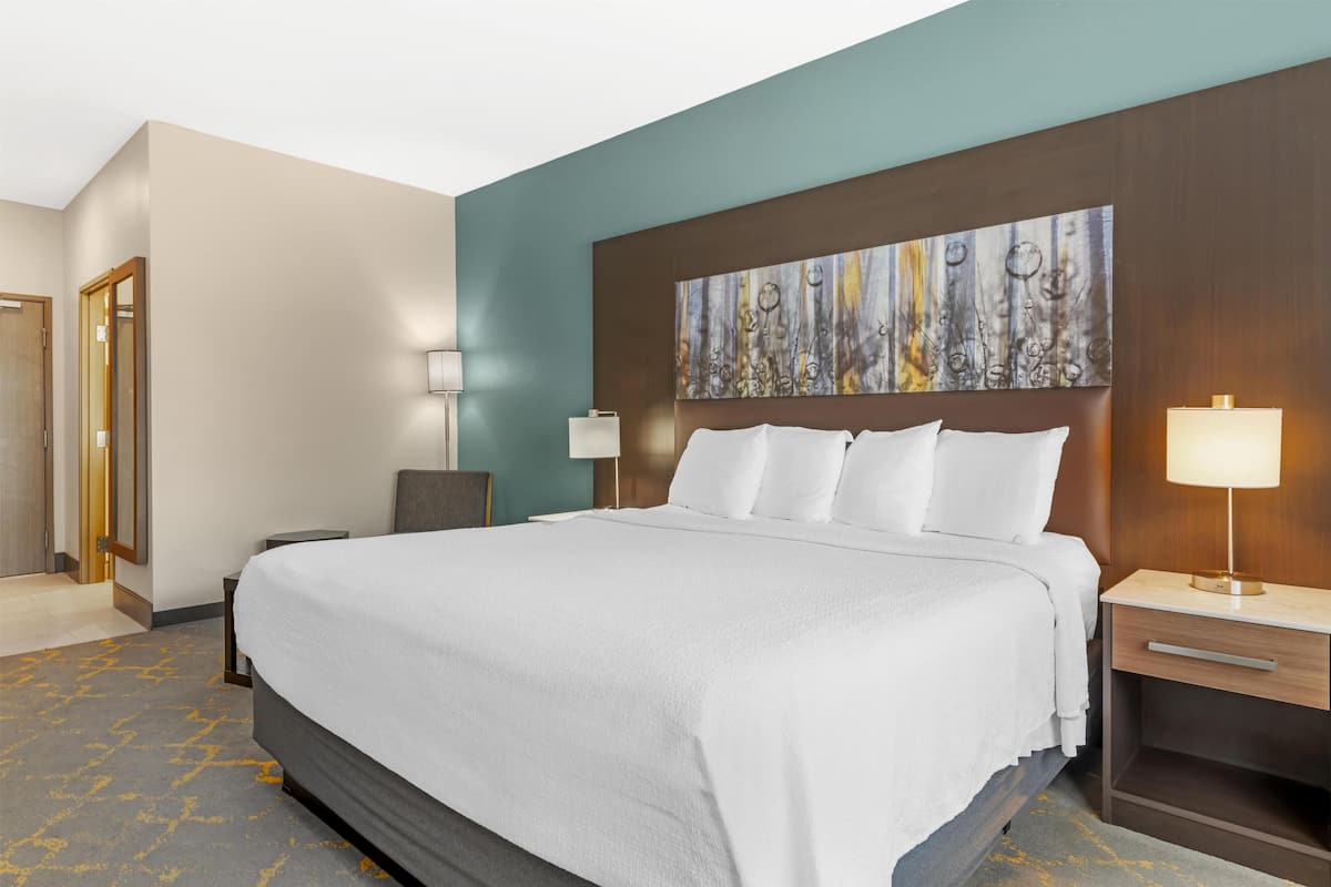 Habitación estándar, 1 cama King size, para no fumadores, refrigerador y microondas | Escritorio, espacio para trabajar con laptop y cortinas blackout