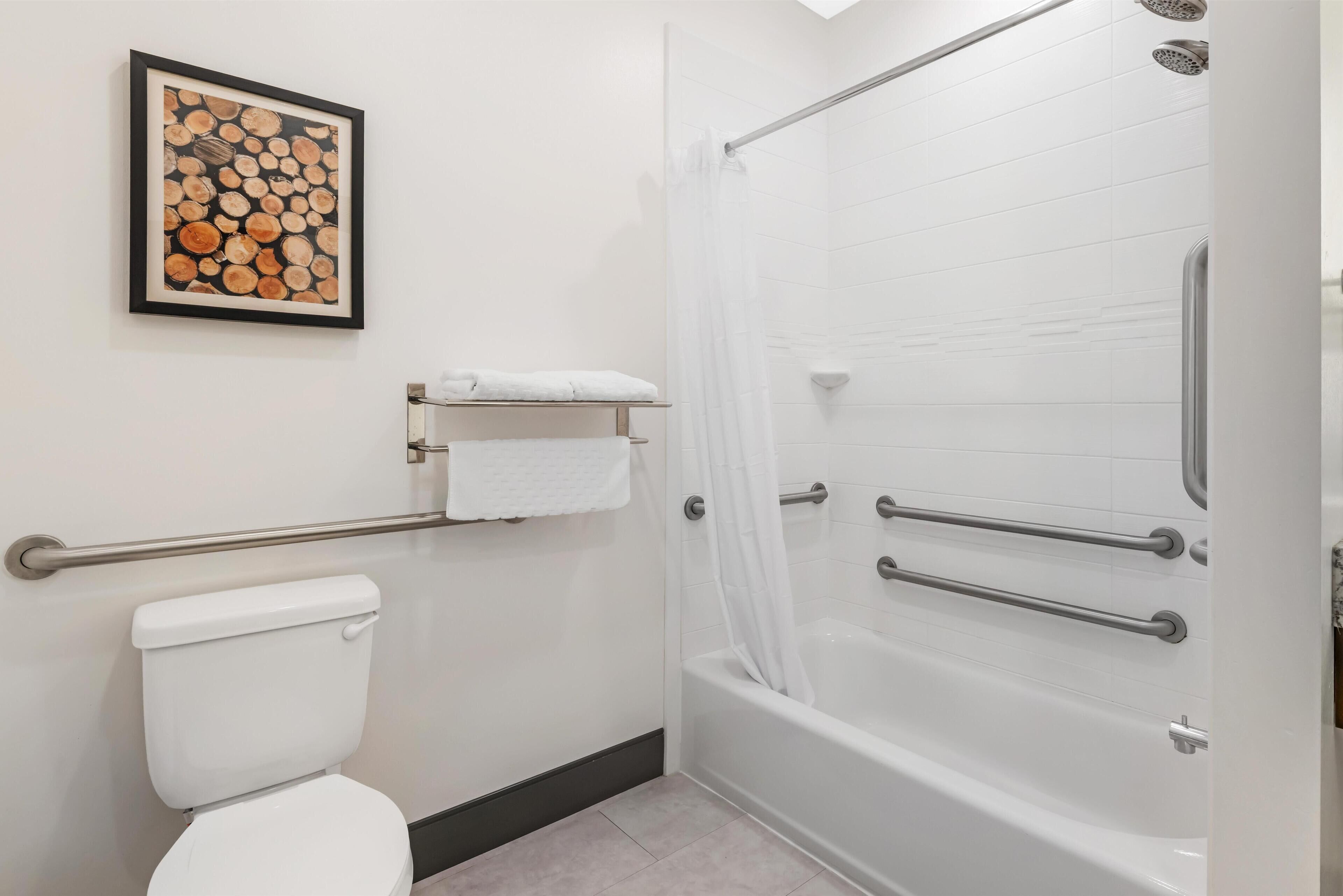 A bathroom with a toilet, a bathtub with grab bars, a shower curtain, and a framed artwork on the wall.