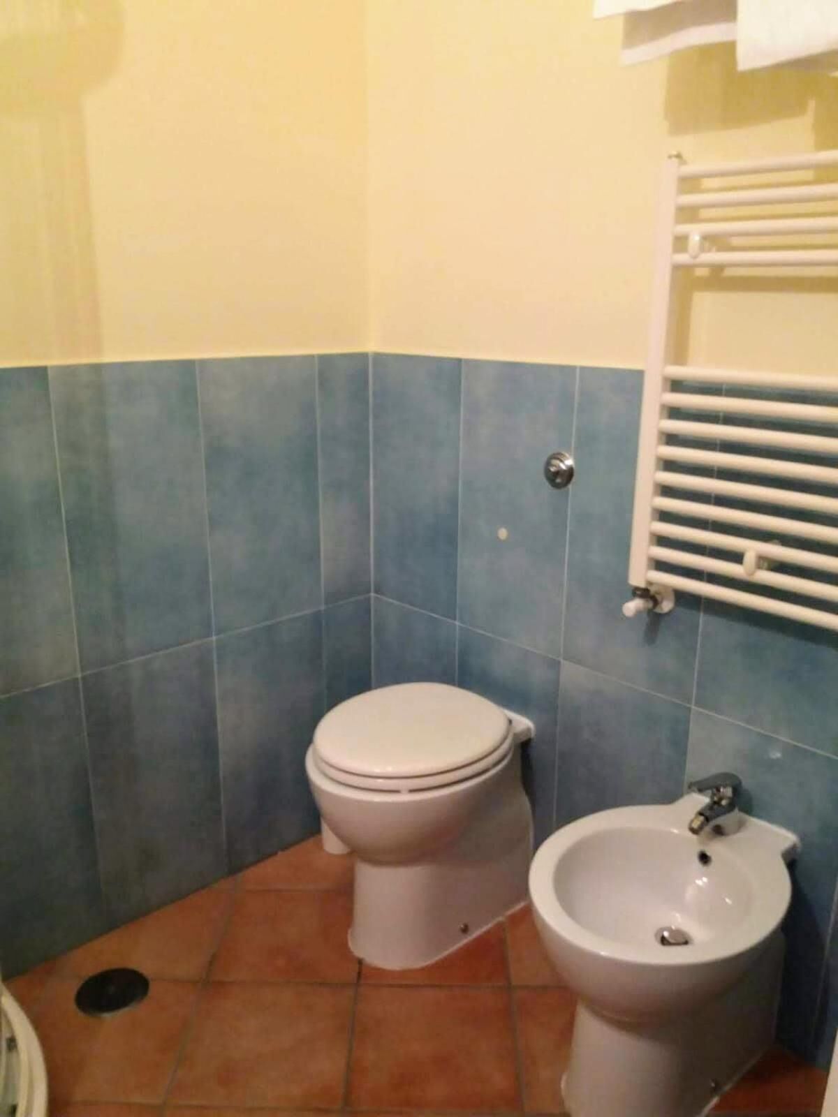 A bathroom with a toilet and bidet, tiled walls in blue and beige, and a white towel rack.