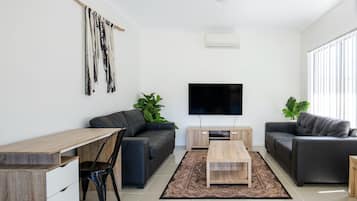 TV, Netflix, DVD player, livros