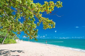 A beach with clear turquoise water, a sandy shore, and lush green foliage.