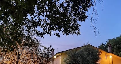IHRE VILLA IN ROM !! TOP !! Wein und gutes Essen !! AIR COND. PARKPLATZ - GRILLPLATZ