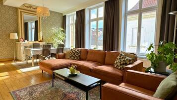 TV, fireplace, DVD player, books