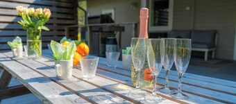 디 엘리건트 하이스틸라