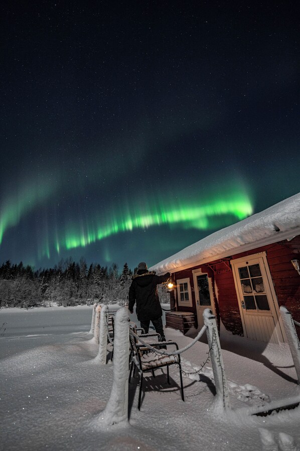 Safari - The Ultra-luxe Hommala (Ranua)