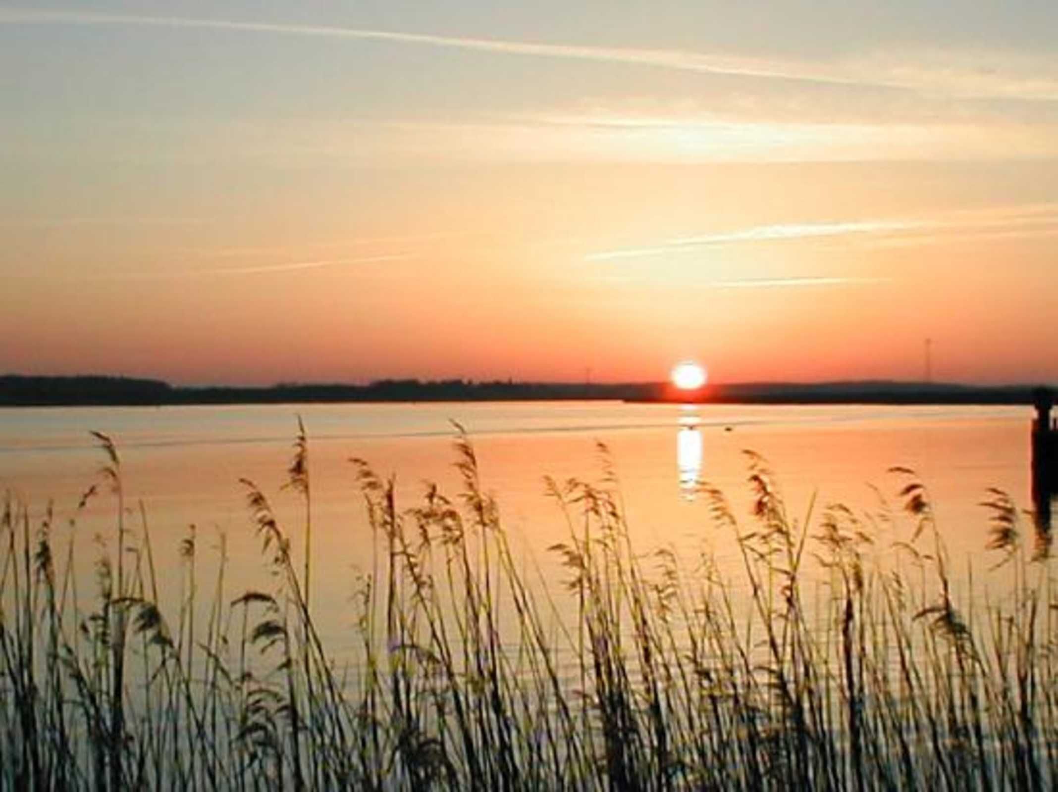 Ein Sonnenuntergang über ruhigem Gewässer, im Vordergrund hohes Gras.