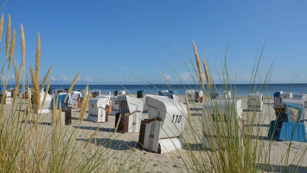 Beachside cottages with numbers on the doors, arranged in rows on the sand. - Vacation cottage Albatros, Germany (Karlshagen)