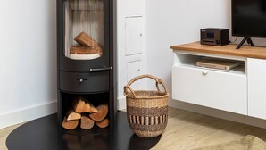 Un soggiorno moderno con una stufa a legna in legno nero, una televisione e un armadietto bianco.