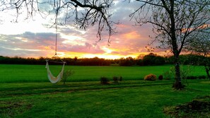 A hammock hanging from a tree in a grassy field with a sunset in the background. - Jardin des Sens (Éguilly)