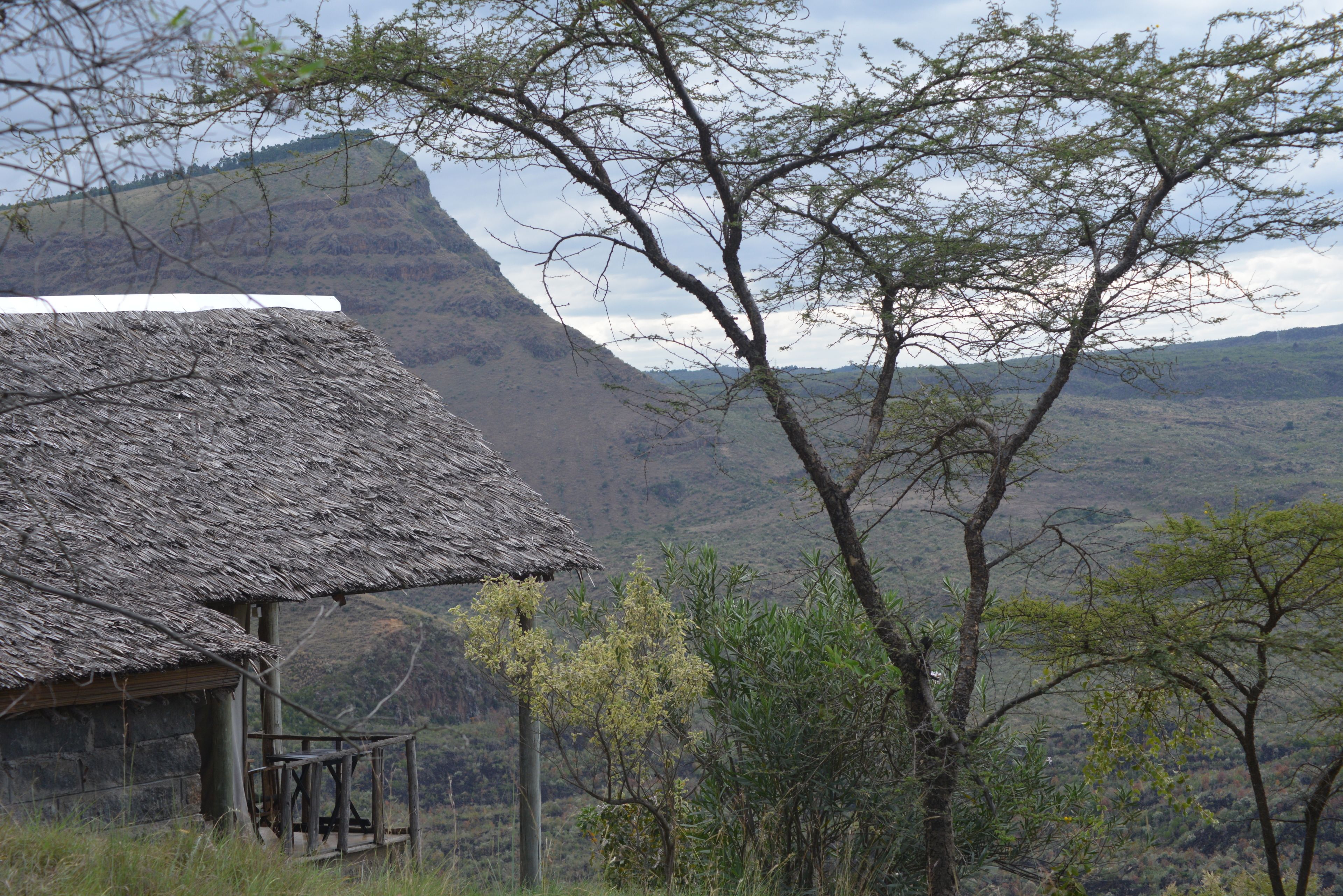 Photo - Maili Saba Camp