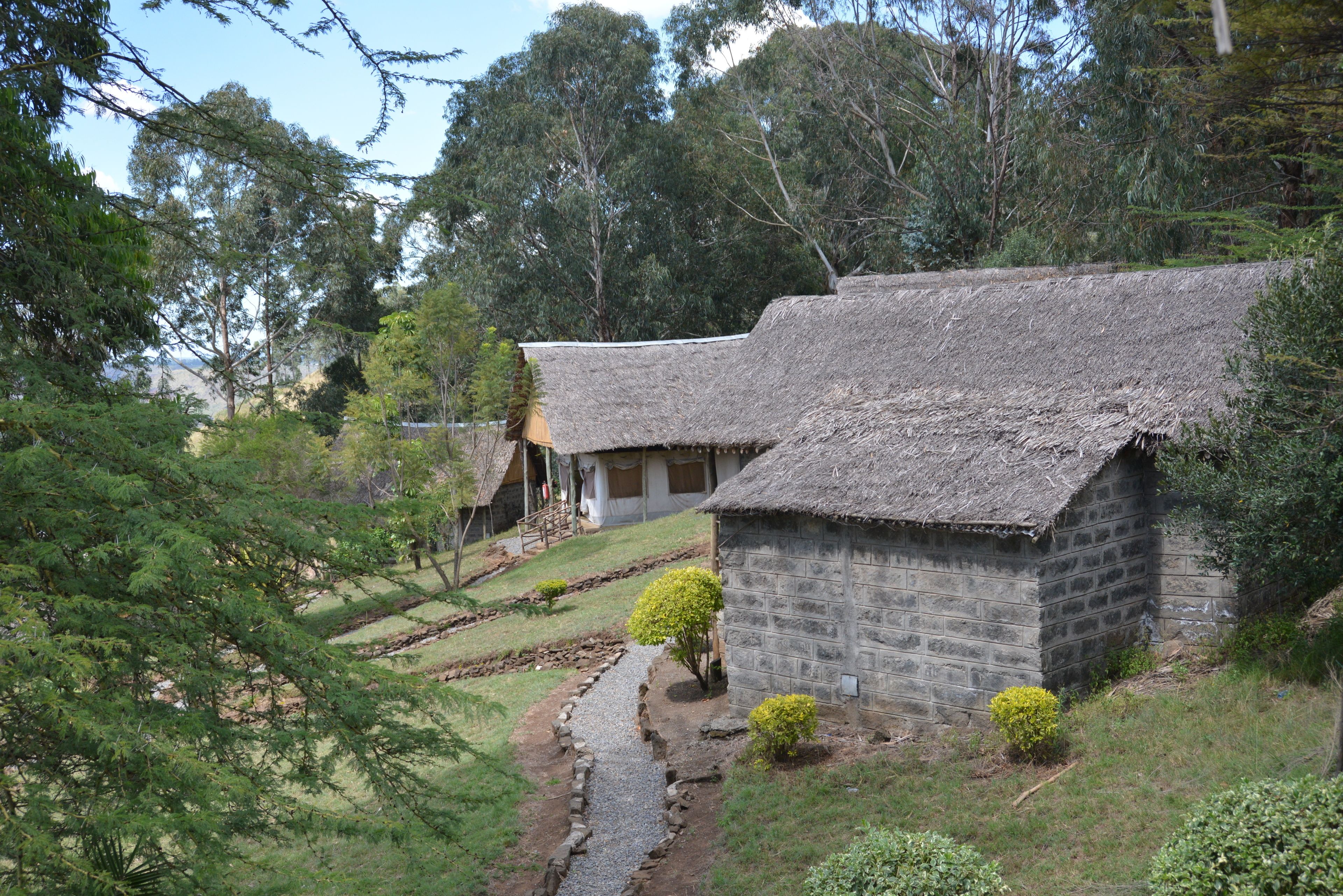 A traditional stone house with a thatched roof, surrounded by lush greenery and a stone pathway.