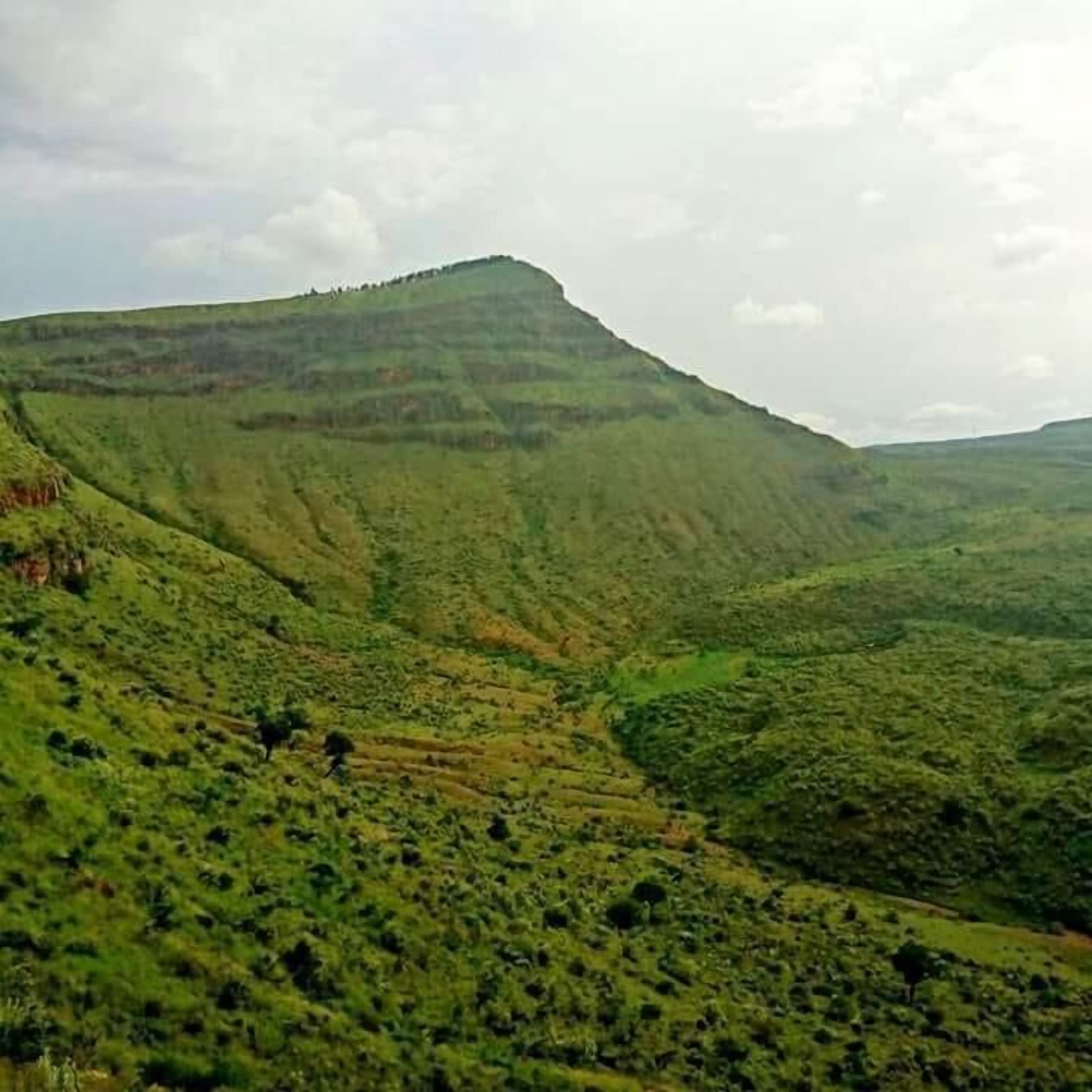 Photo - Maili Saba Camp