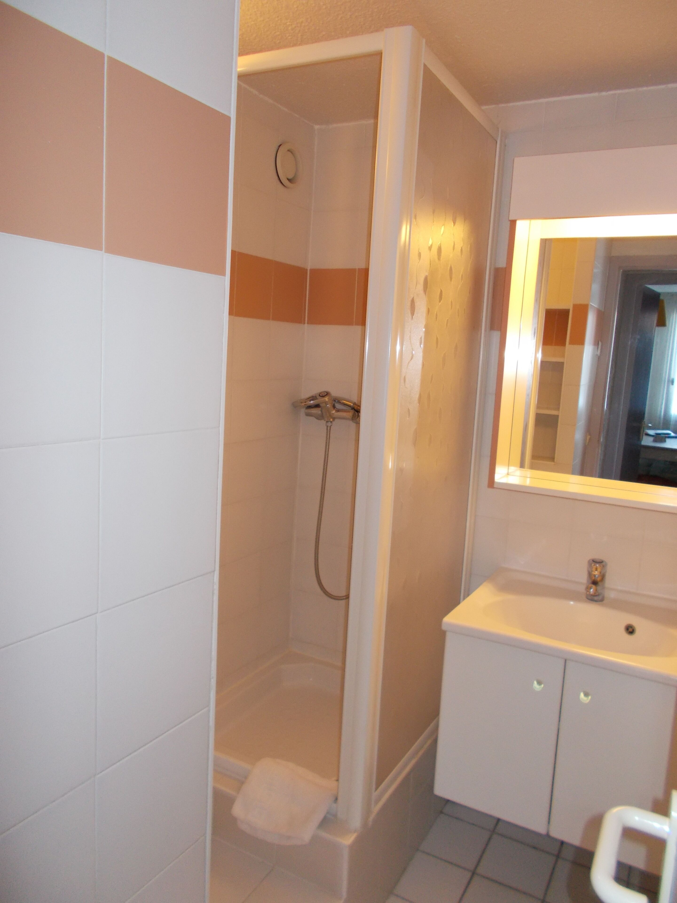 A bathroom with a shower, a sink, and a mirror.